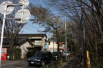 10-04-11樹木No.101