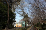 10-03-30樹木No.129