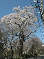 NO.119J@3/21Be
