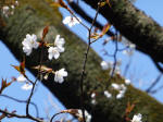 No.31E약3/22Be