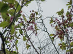 S25@t@cԁ@3/24Be