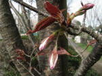 k㗢AN02ڂݑ傫c3/28Be