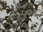 kcN25J3/31Be