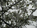 No.864Un߂܂B3/31Be
