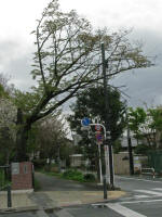 No.864t4/6Be