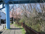 9005_590s200312.jpg
