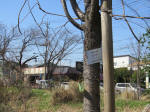9009_ks37s200312.jpg