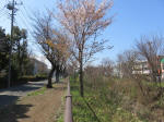 9016_s27s200312.jpg