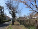 9019_649s200312.jpg