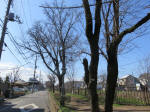 9030_798s200312.jpg