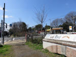 9032_koganei200312.jpg