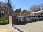 9033_koganei200312.jpg