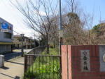 9034_koganei200312.jpg