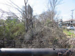9041_akaneya200312.jpg