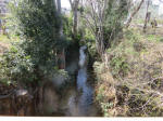 9048_kozakuraugan200312.jpg