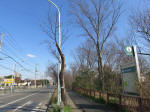 9071_181s200312.jpg