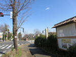 9081_274s200312.jpg