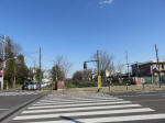 9083_koganeibasi200312.jpg