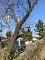 9091_276s200312.jpg
