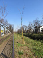 9097_kn56s200312.jpg