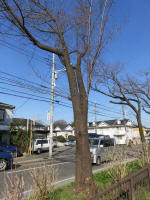 9099_277s200312.jpg
