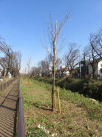 9100_kn57s200312.jpg
