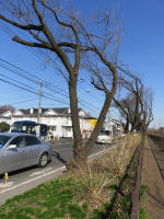 9102_278s200312.jpg