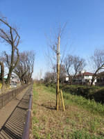 9104_kn58s200312.jpg