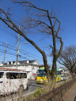 9106_729s200312.jpg