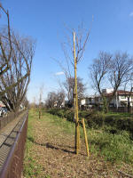 9107_kn59s200312.jpg