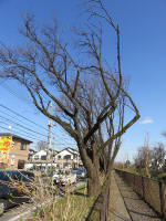 9109_280s200312.jpg