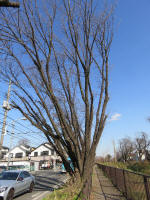 9113_281s200312.jpg