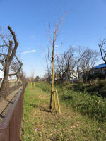 9123_kn64s200312.jpg