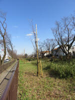 9128_kn66s200312.jpg