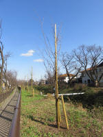 9134_kn67s200312.jpg