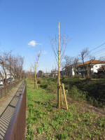 9140_kn69s200312.jpg
