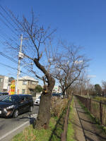 9167_298s200312.jpg