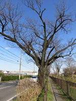 9200_311s200312.jpg