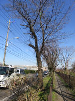 9203_312s200312.jpg
