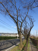 9215_316s200312.jpg