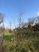 9218_kn49s200312.jpg