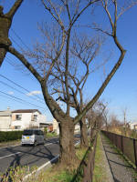 9227_320s200312.jpg