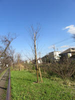 9235_kn53s200312.jpg