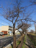 9242_326s200312.jpg