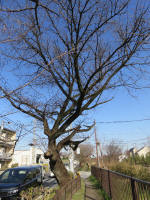 9248_329s200312.jpg