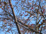 9262_n26s200312a.jpg