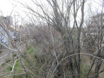 9276_sakairikkyou200312.jpg
