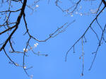 9281_822s200315.jpg
