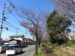 9290_971s200315.jpg