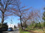 9300_978s200315.jpg